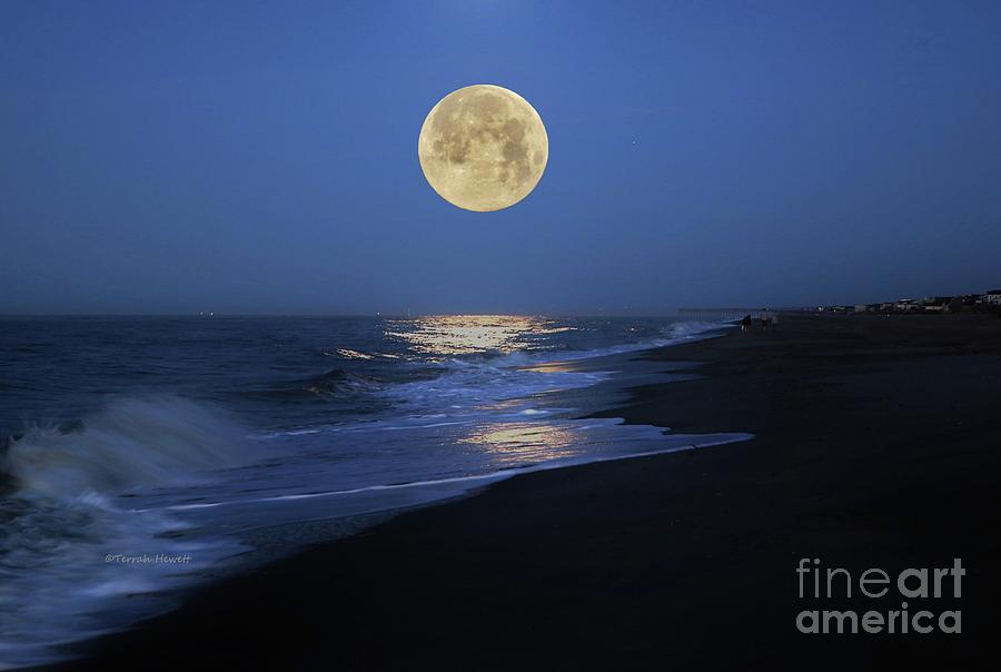 Beware Of The Full Moon In March March Moon Photograph by Terrah Hewett - Fine Art America