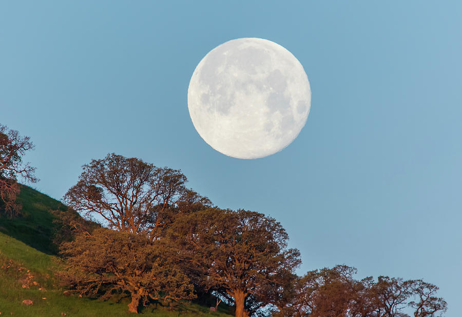 March Moonset Photograph by Marc Crumpler