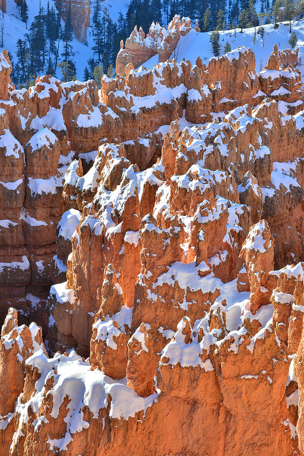 March of Hoodoos Photograph by Ray Mathis