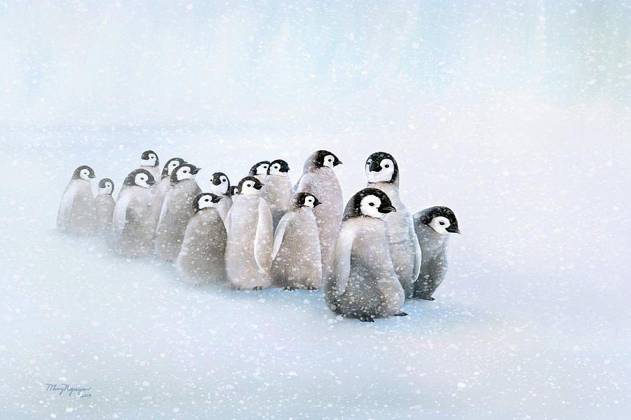 March of the Penguins Digital Art by Thanh Thuy Nguyen