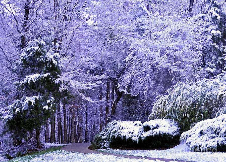 March Snow In Carolina Photograph by Lydia Holly