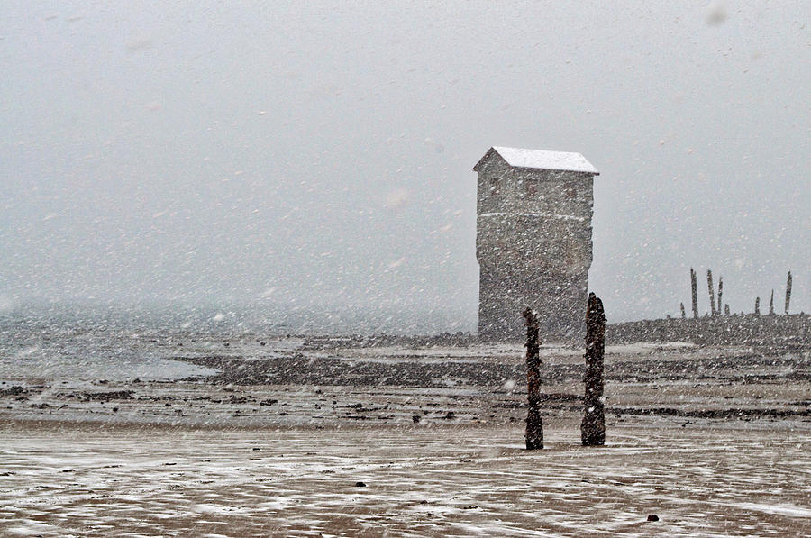 March Snowstorm - Sandy Beach Photograph by Cathy Mahnke