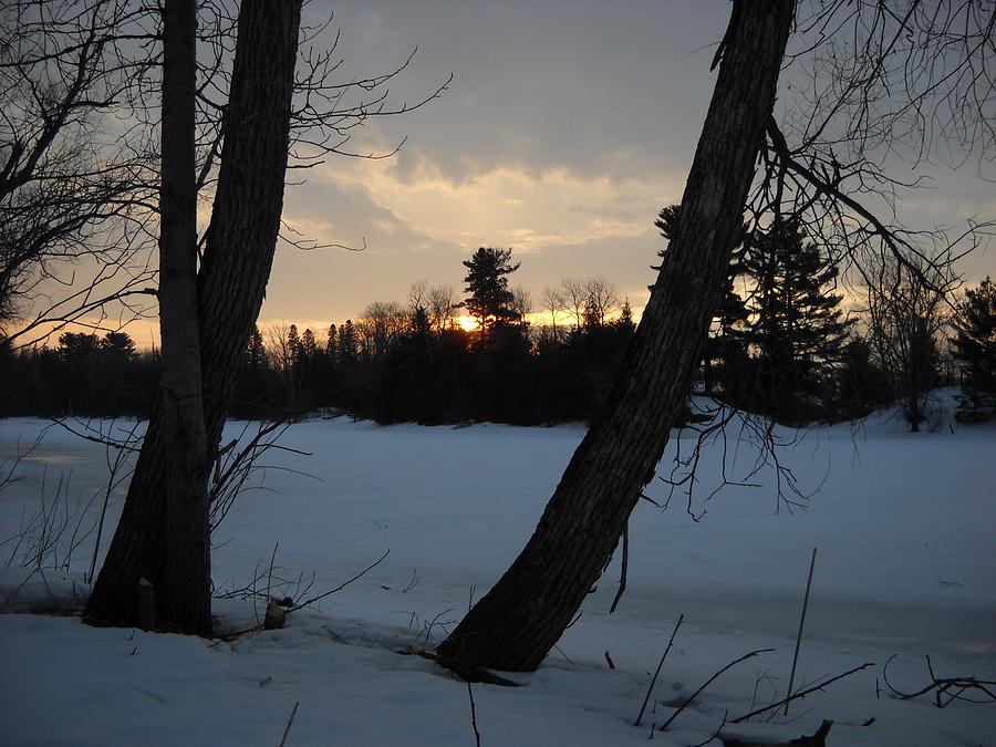 March Sunrise behind a Pine Tree Photograph by Kent Lorentzen