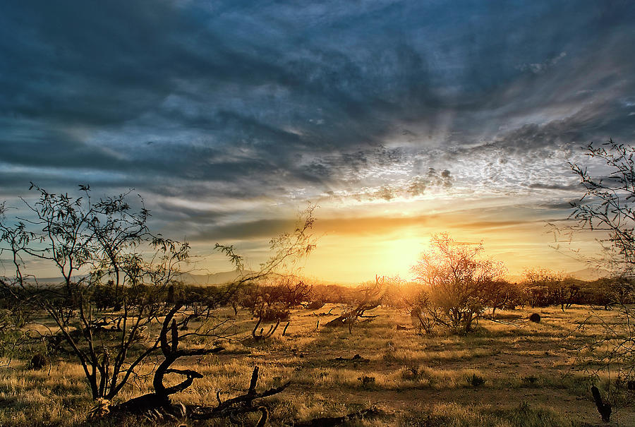 March Sunrise by Lynn Geoffroy March Sunrise by Lynn Geoffroy