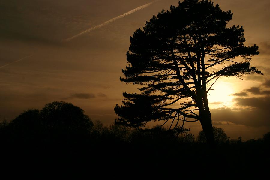 March Sunset at Newbridge  Photograph by Martina Fagan