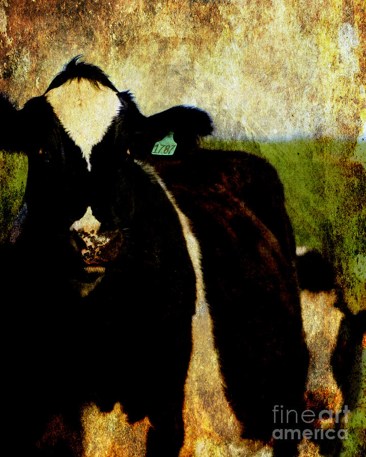 Marching Cow . texture Photograph by Wingsdomain Art and Photography