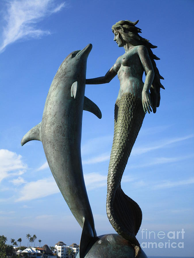 Marco Riveros The Mermaid And Dolphin Photograph by Randall Weidner
