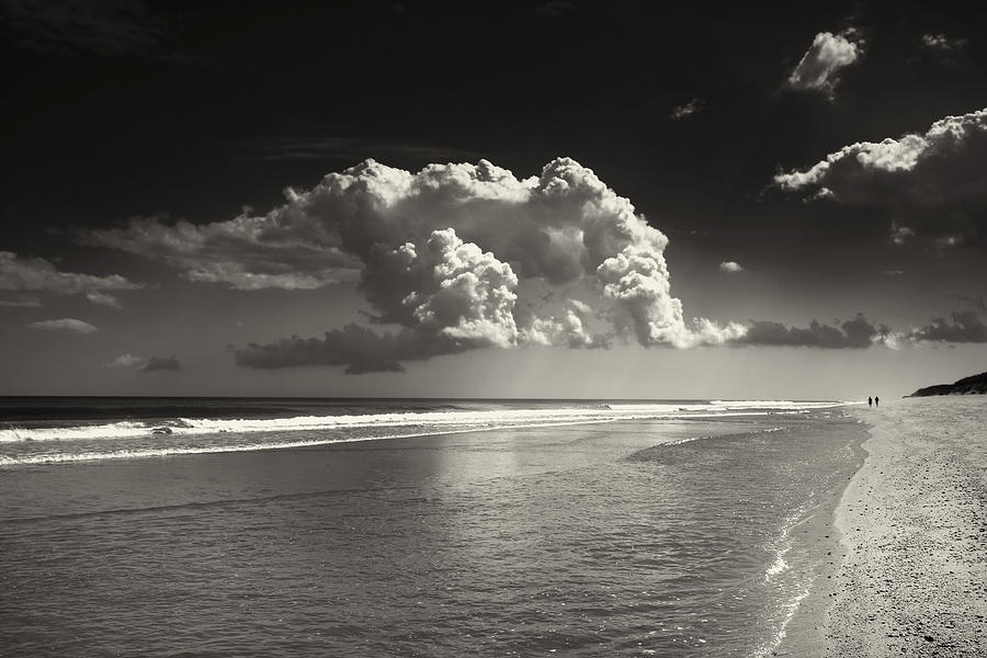 Marconi Beach Wellfleet  Photograph by Darius Aniunas