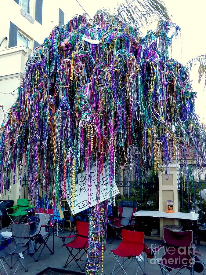 Check out the beads on this tree at Mardi Gras!!, Craig