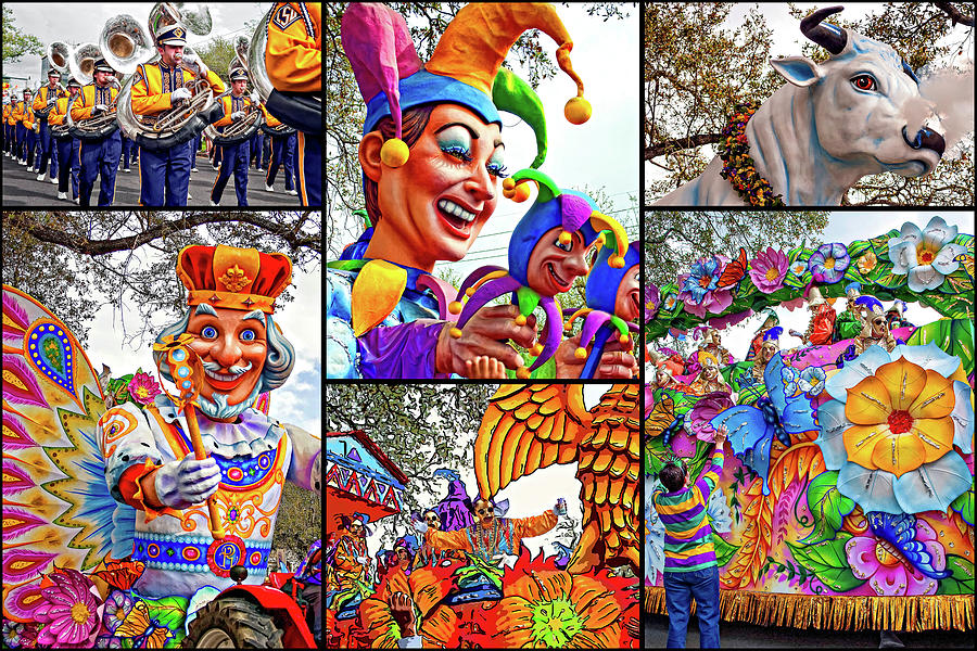 Mardi Gras Collage - Let The Good Times Roll Photograph by Steve Harrington