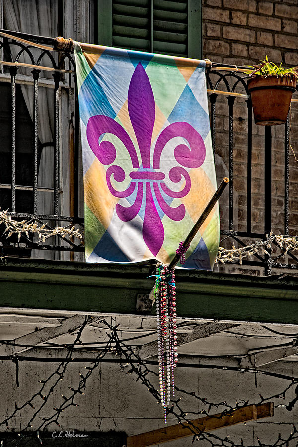 Mardi Gras Colors Photograph by Christopher Holmes