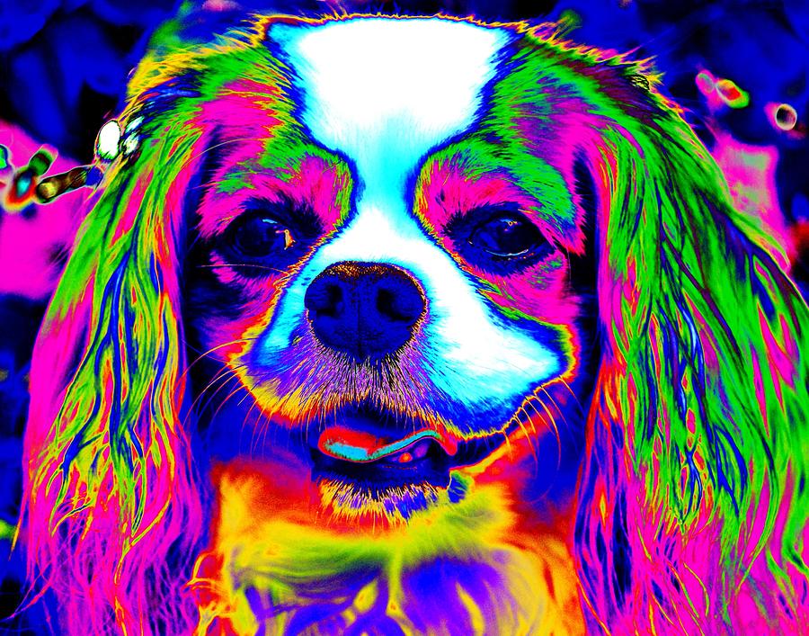 Mardi Gras Dog Digital Art by Larry Beat