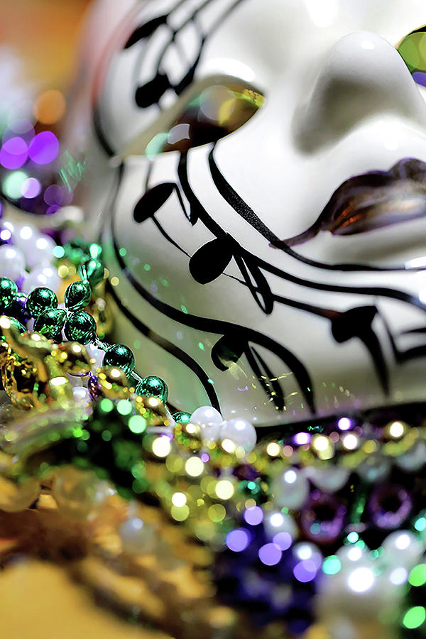 Mardi Gras I Photograph by Trish Mistric
