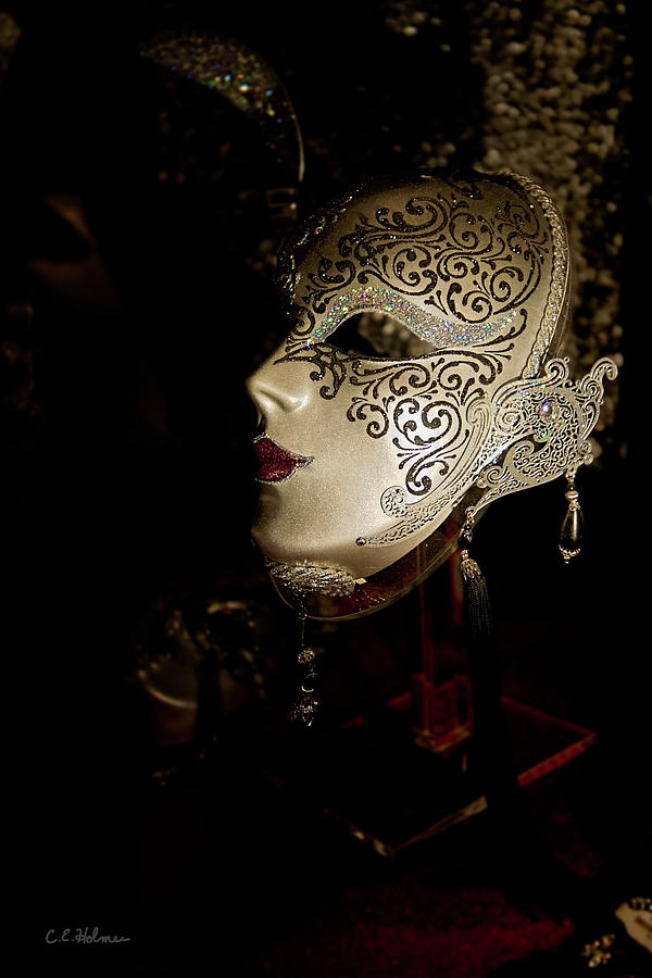 Mardi Gras Mask Photograph by Christopher Holmes