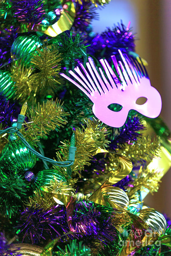 Mardi Gras Mask on the Christmas Tree New Orleans Photograph by John Rizzuto