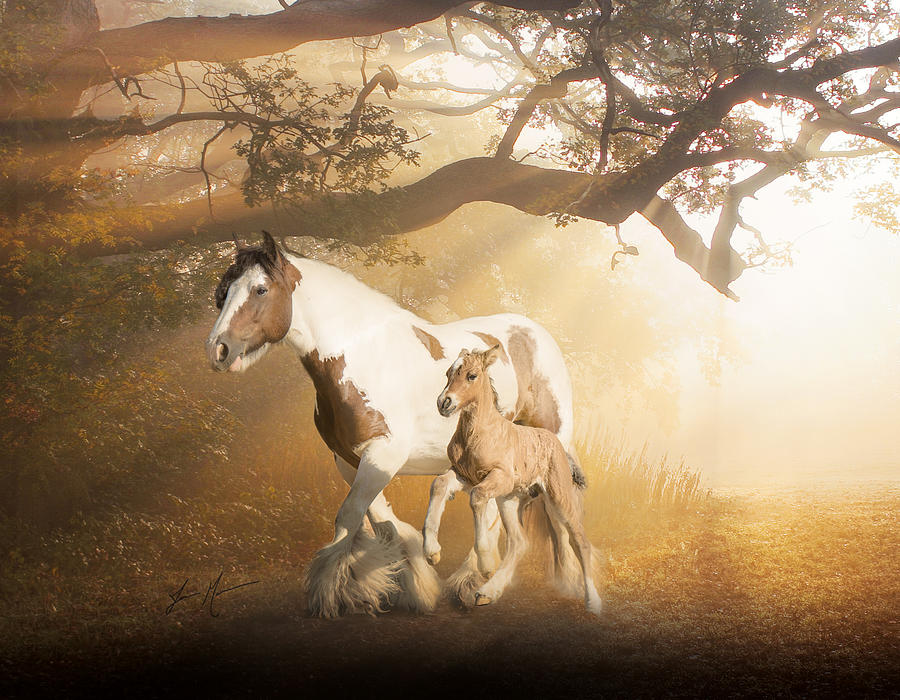 Horse Photograph - Mare and Foal I by Jamie Mammano