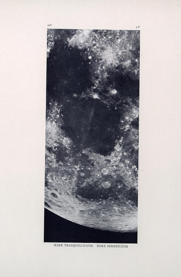 Mare Tranquillitatis - The Sea of Tranquility - Surface of the moon - Lunar Surface - Celestial Char Drawing by Studio Grafiikka