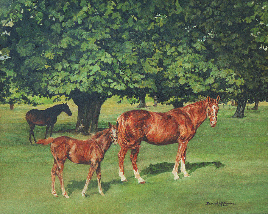 Mares and foal Painting by David McEwen - Fine Art America