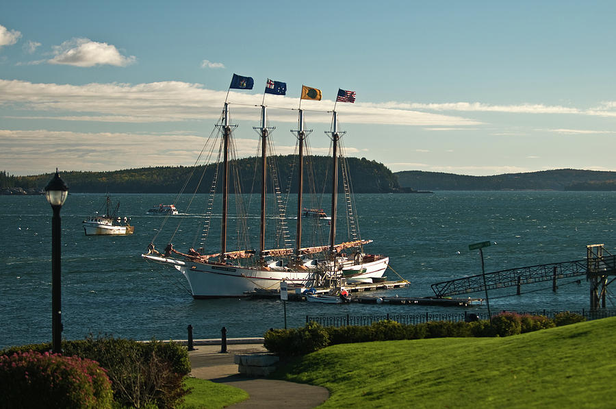 Margaret Todd - Bar Harbor Icon Photograph by Paul Mangold