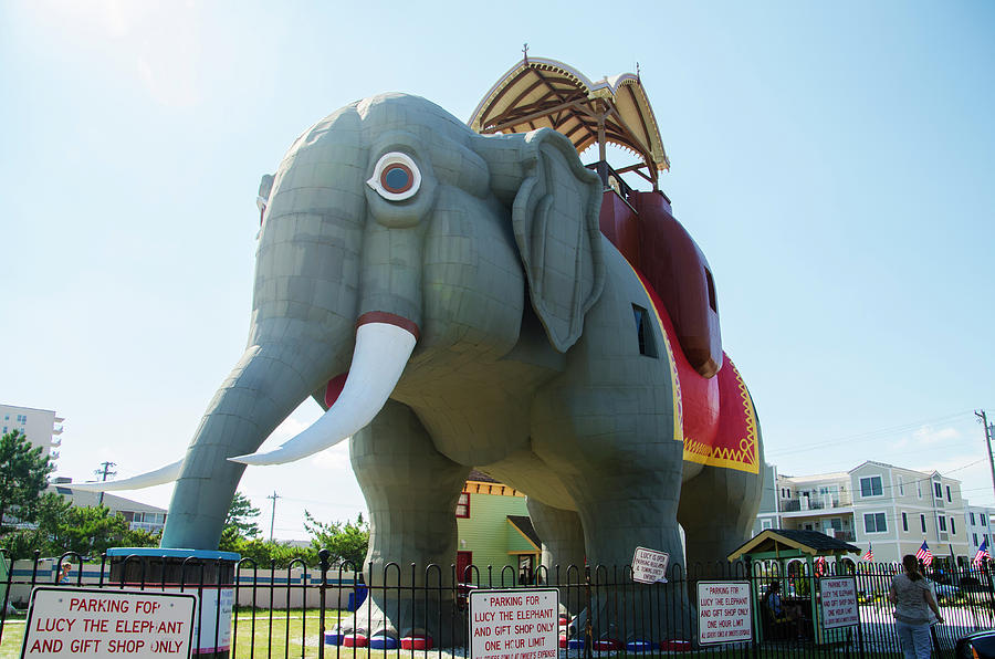 Elephant Photograph - Margate New Jersey - Lucy the Elephant by Bill Cannon