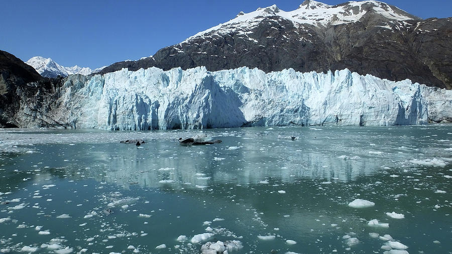 Margerie Glacier 1 Photograph by Judy Wanamaker