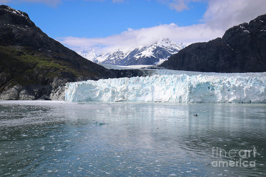 Margerie Glacier Alaska Photograph by Veronica Batterson