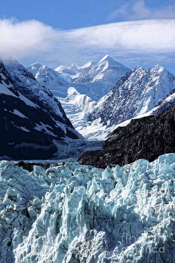 Margerie Glacier and Ice Field Photograph by Jo Ann Gregg