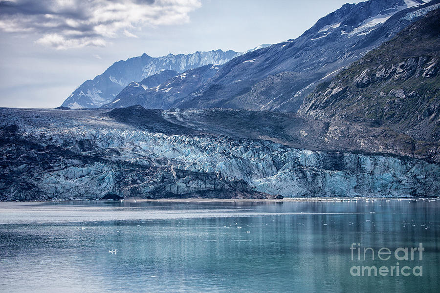 Margerie Glacier Photograph by Timothy Johnson