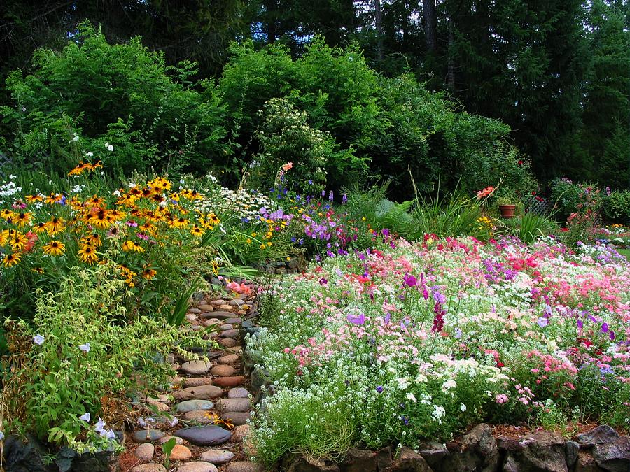 Flowers Along the Stone Path Photograph by Susan Lindblom