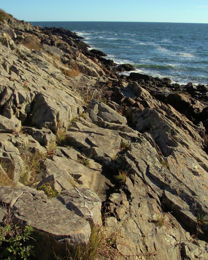 Marginal Way 810 P Photograph by Robert McCulloch | Fine Art America