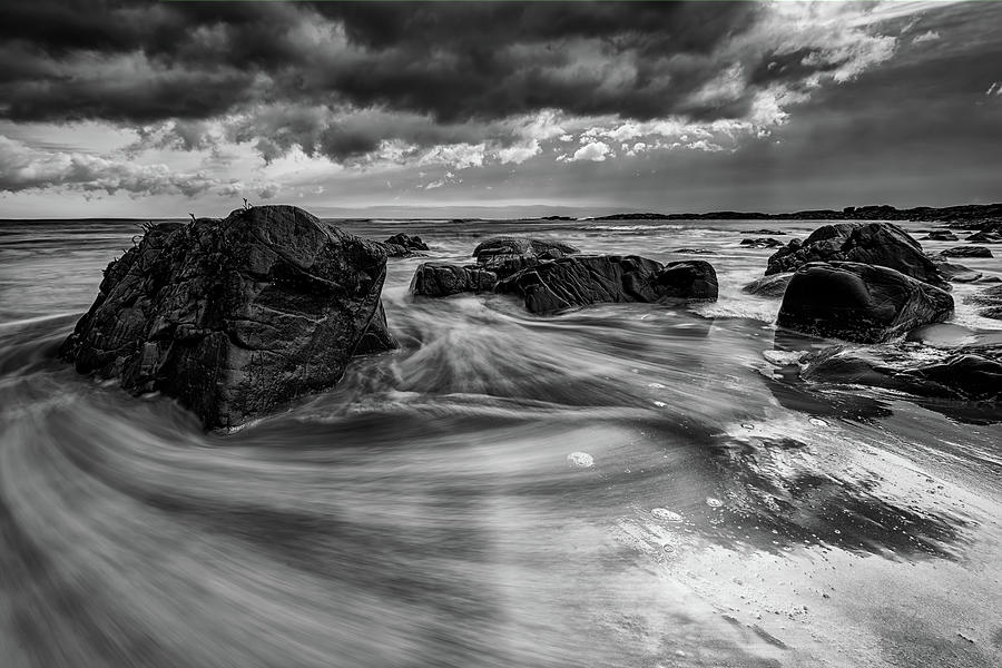 Fall Photograph - Marginal Way in Black and White by Rick Berk
