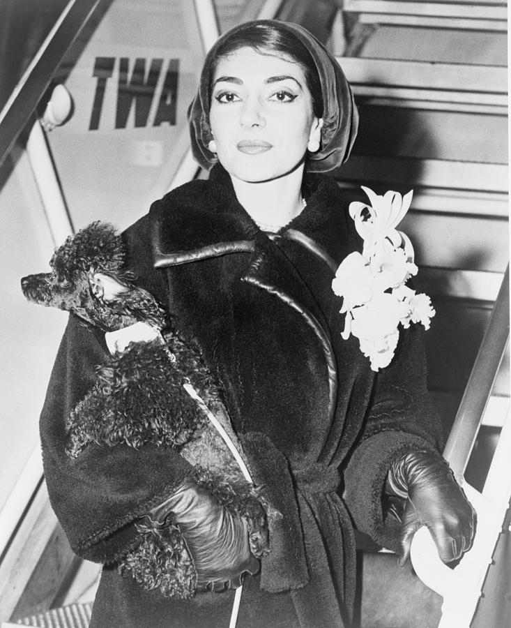 Maria Callas 1923-1977, Holding A Pet Photograph by Everett