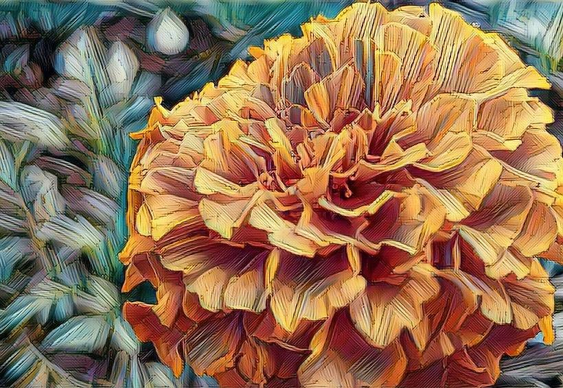Marigold Digital Art by Caryl J Bohn