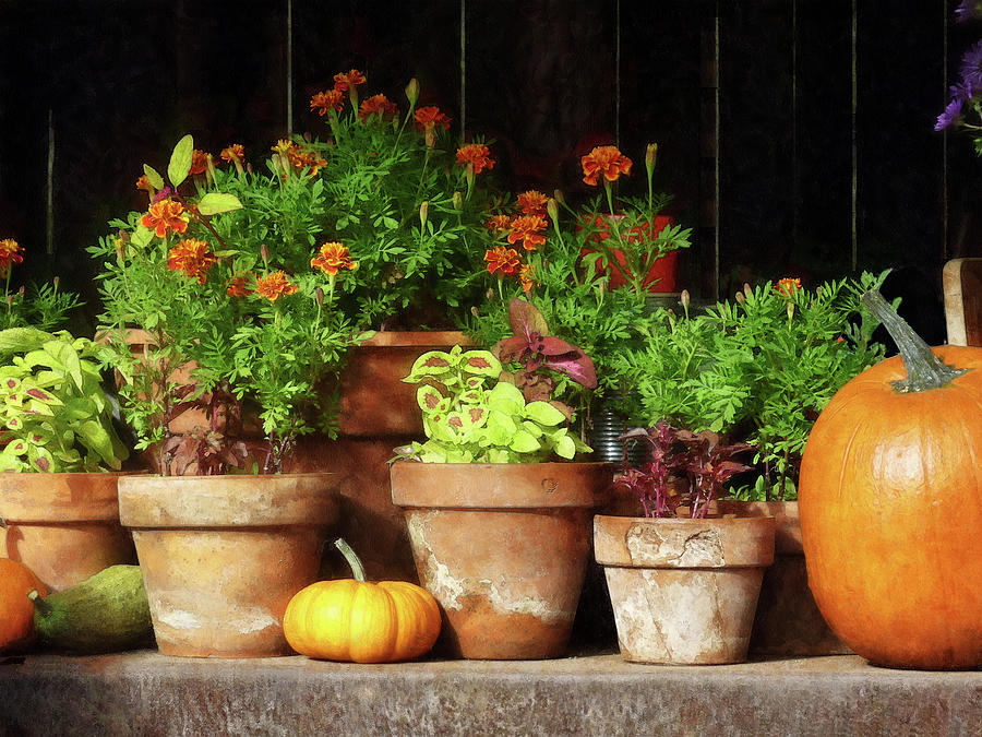 Fall Photograph - Marigolds and Pumpkins by Susan Savad