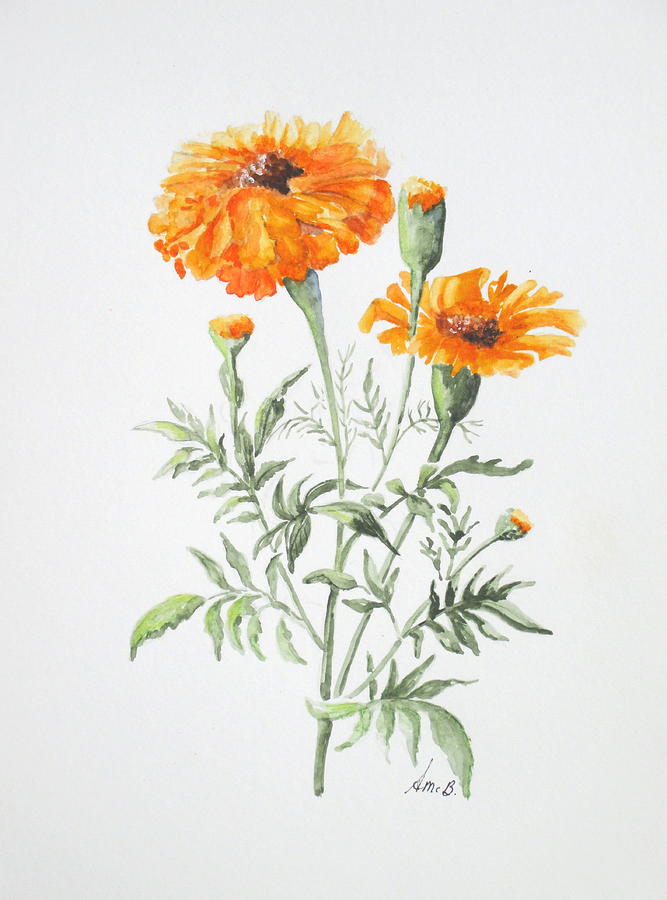 Marigolds Painting by April McCarthy-Braca