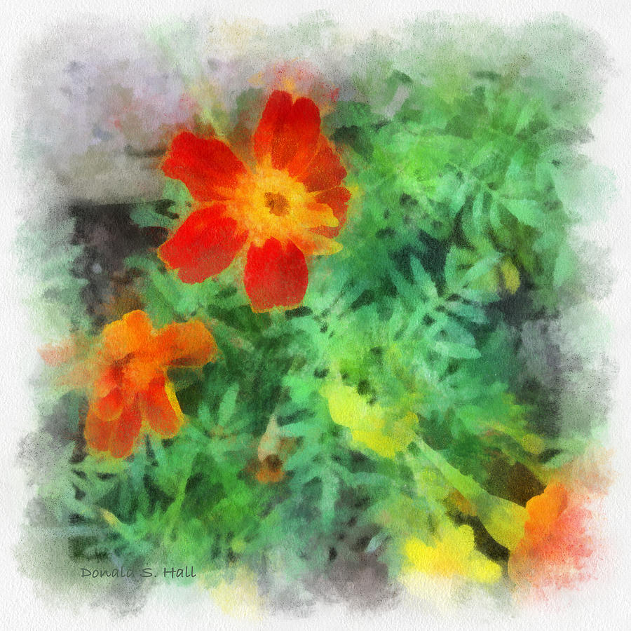 Marigolds Digital Art by Donald S Hall