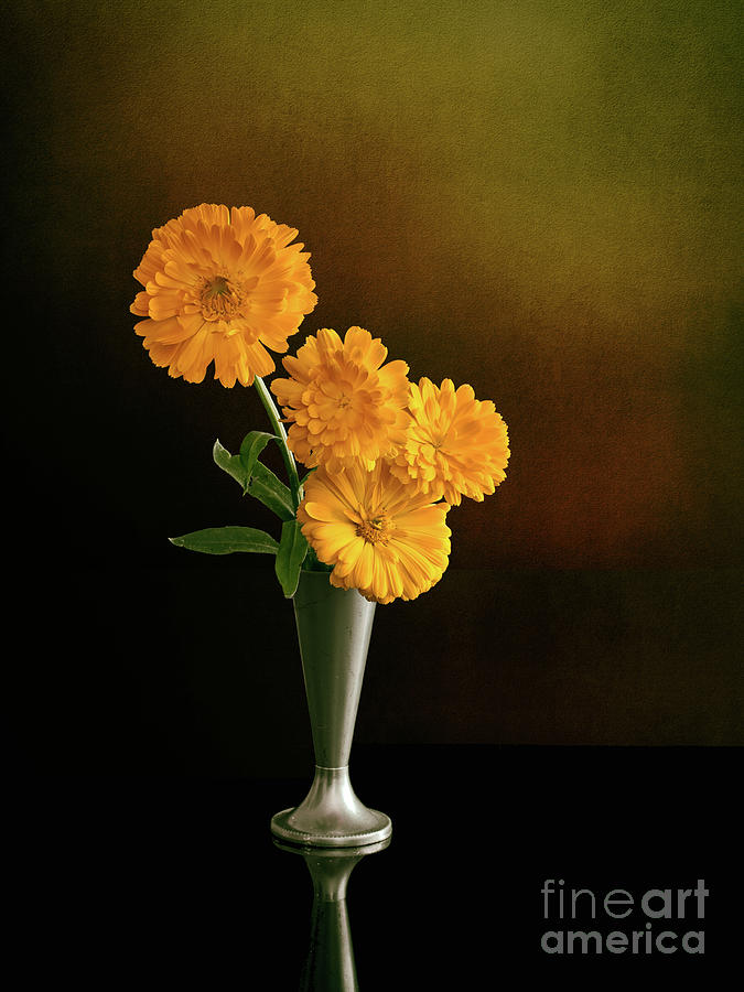 Marigold Photograph - Marigolds in vase. Calendula. by Judith Flacke Marigold Photograph - Marigolds in vase. Calendula. by Judith Flacke