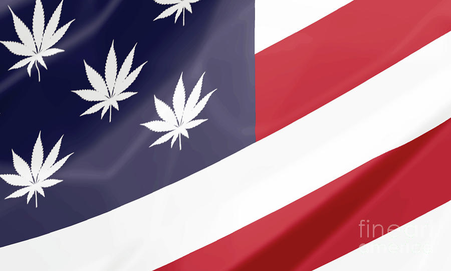Marijuana flag USA Digital Art by Benny Marty