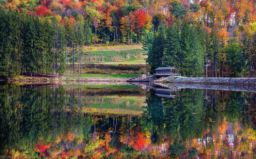 Fall Photograph - Marilla Bridges Trail by Mark Papke