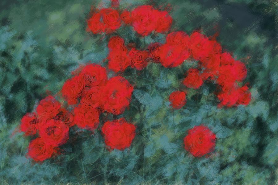 Garden Of Love Photograph - Marilyns Red Roses by The Art Of Marilyn Ridoutt-Greene