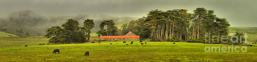 Marin County Farm Panorama Photograph by Adam Jewell