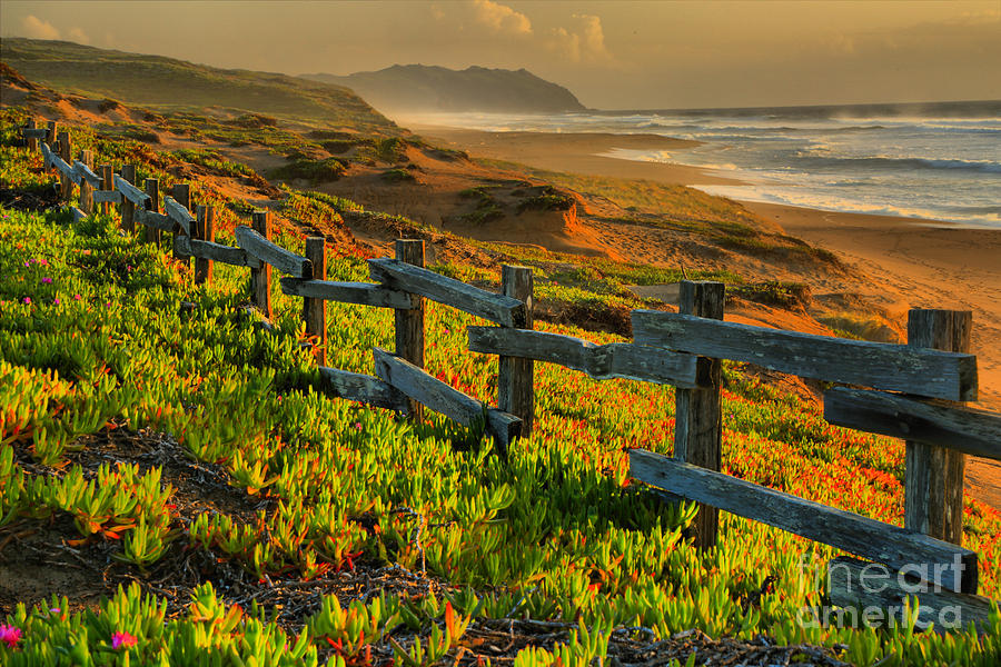 Marin County Golden Sunset Photograph by Adam Jewell