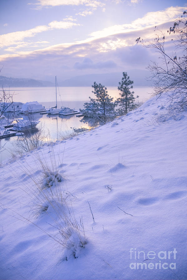 Marina and Snow Photograph by Idaho Scenic Images Linda Lantzy