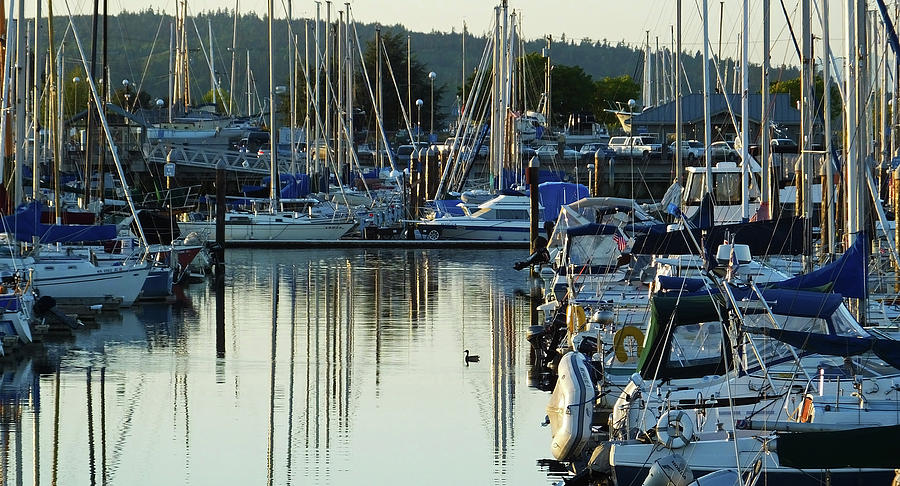Many Masts at the Marina at Everett, WA Photograph by Judy Wanamaker