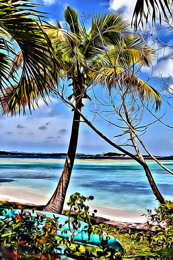 Paradise Digital Art - Marina Cay View by Anthony C Chen