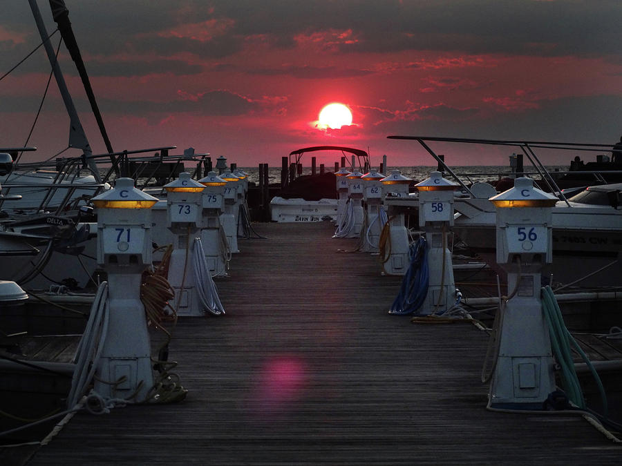 Marina Dock Sunset Photograph by David T Wilkinson