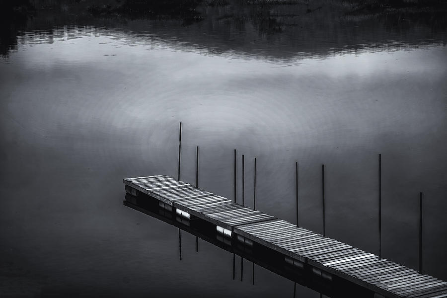 Marina Dock Photograph by Tom Singleton