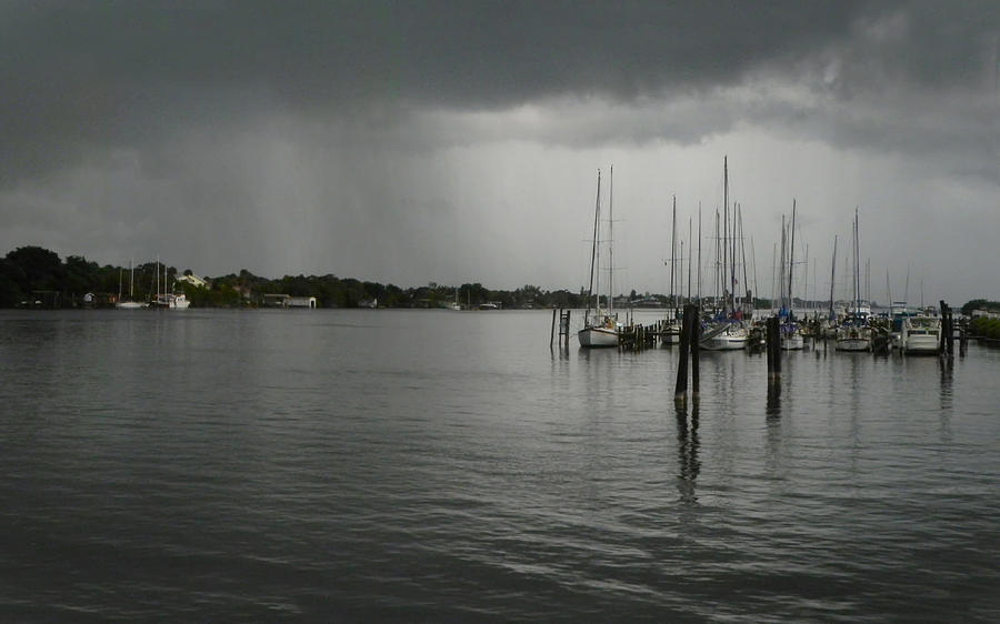 Marina in the Rain Photograph by Frances Miller