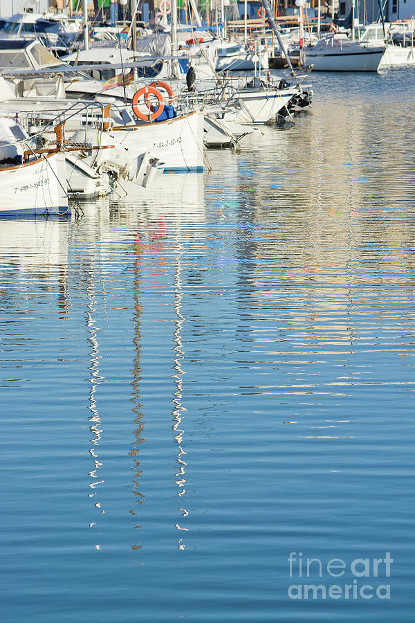 Marina moored boats Photograph by Ingela Christina Rahm