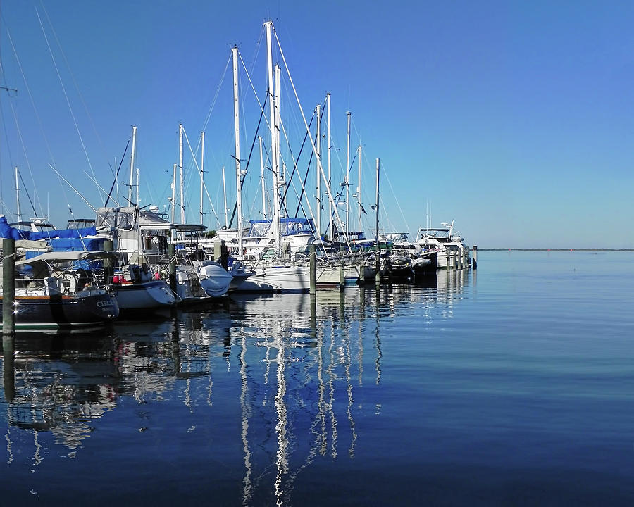 Marina on a Calm Day Photograph by Frances Miller